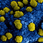 Trainen tijdens de coronacrisis